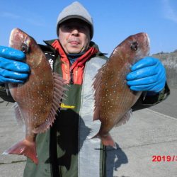 大進丸（新潟） 釣果