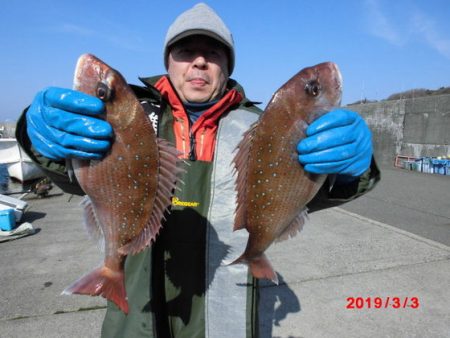 大進丸（新潟） 釣果