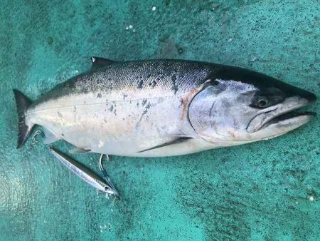 広進丸 釣果