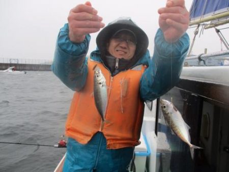 あい川丸 釣果