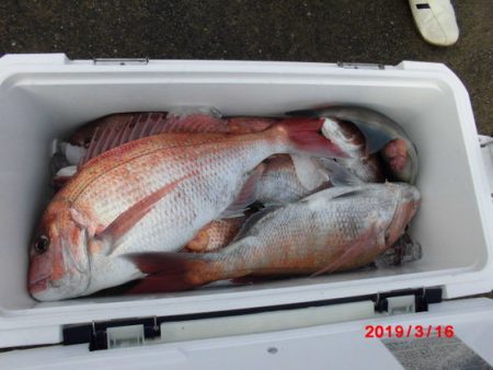 大進丸(新潟) 釣果