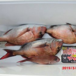 大進丸(新潟) 釣果