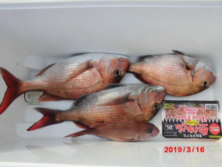 大進丸(新潟) 釣果