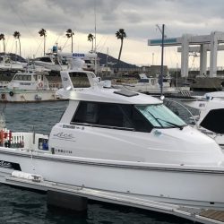 フィッシングボートACE(エース) 釣果