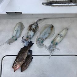 フィッシングボートACE(エース) 釣果