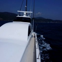 フィッシングボートACE(エース) 釣果