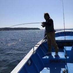 フィッシングボートACE(エース) 釣果