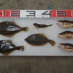 のとじま臨海公園海づりセンター 釣果