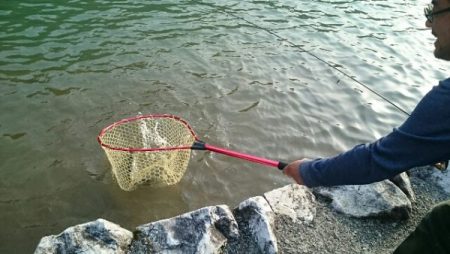 フィッシングエリア帝釈 釣果