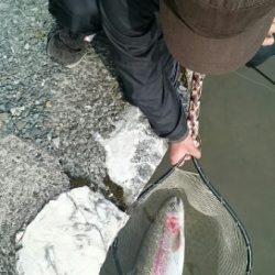 フィッシングエリア帝釈 釣果