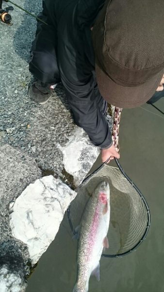 フィッシングエリア帝釈 釣果