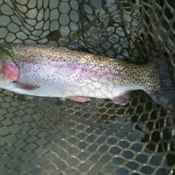 フィッシングエリア帝釈 釣果