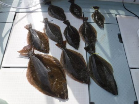 遊漁船 幸友丸 釣果