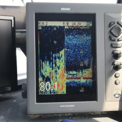 寿裕 (YOSHIHIRO) 釣果