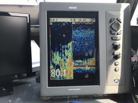 寿裕 (YOSHIHIRO) 釣果