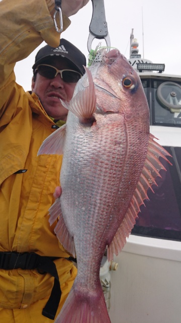海晴丸 釣果