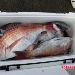 大進丸(新潟) 釣果