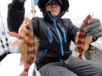 鯛紅丸 釣果