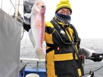 鯛紅丸 釣果