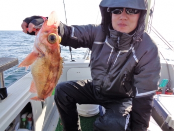 鯛紅丸 釣果