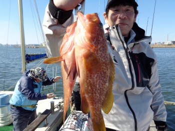 鯛紅丸 釣果