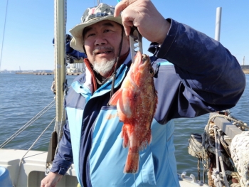 鯛紅丸 釣果
