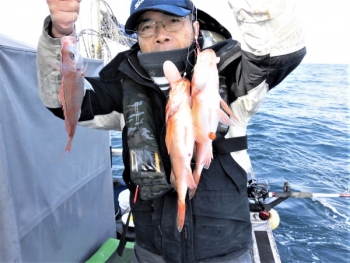 鯛紅丸 釣果
