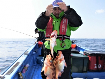 鯛紅丸 釣果
