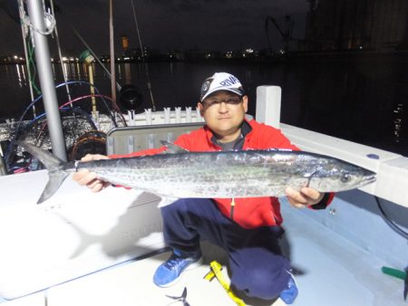 Hit Rush(ヒット ラッシュ) 釣果