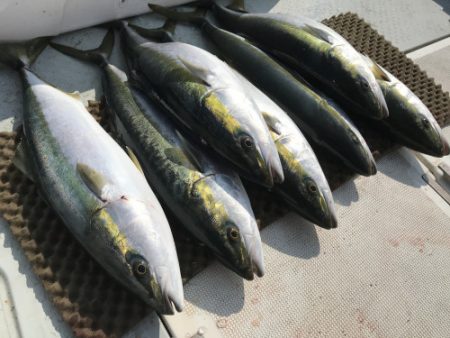 釣船 浦島太郎 釣果