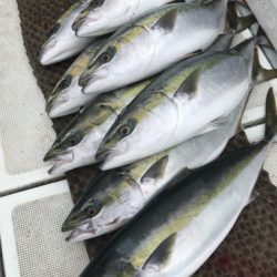 釣船 浦島太郎 釣果