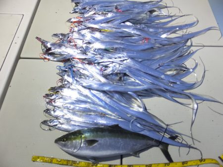 Hit Rush(ヒット ラッシュ） 釣果…