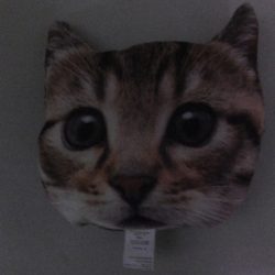 Hit Rush(ヒット ラッシュ) 釣果