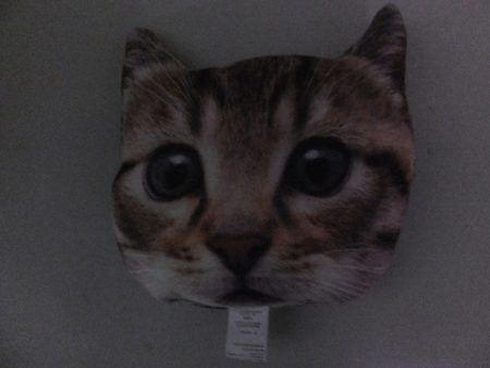 Hit Rush(ヒット ラッシュ) 釣果