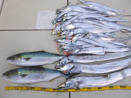 Hit Rush(ヒット ラッシュ） 釣果…