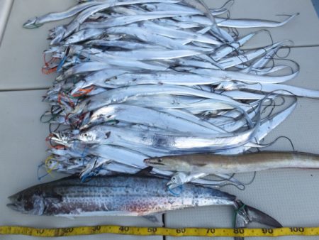 Hit Rush(ヒット ラッシュ) 釣果