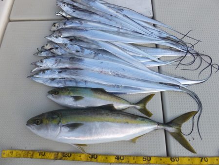 Hit Rush(ヒット ラッシュ） 釣果…