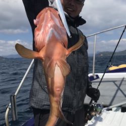 釣船 浦島太郎 釣果