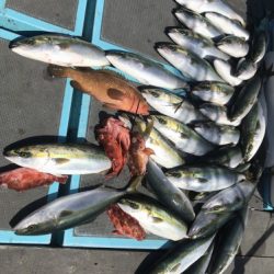 釣船 浦島太郎 釣果