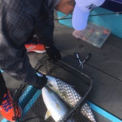 釣船 浦島太郎 釣果