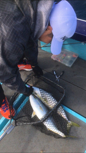 釣船 浦島太郎 釣果