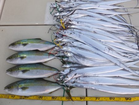 Hit Rush(ヒット ラッシュ） 釣果…