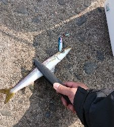 離島すげぇ(゚∀゚)