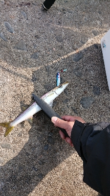 離島すげぇ(ﾟ∀ﾟ)