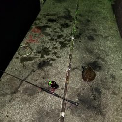 なんとかモンゴウ、