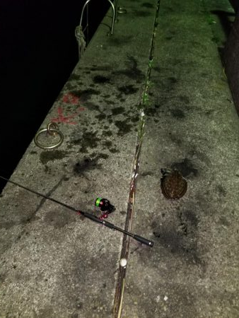 なんとかモンゴウ、