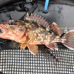 神戸ライトワインド1