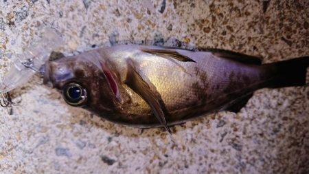 渋かったですが