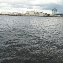 砂上げ場　ジグサビキ