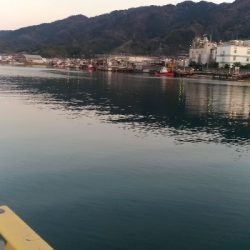 3/24釣果 チヌとサバ